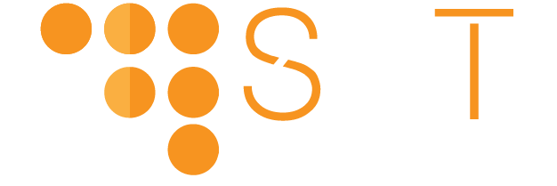 S and T logo